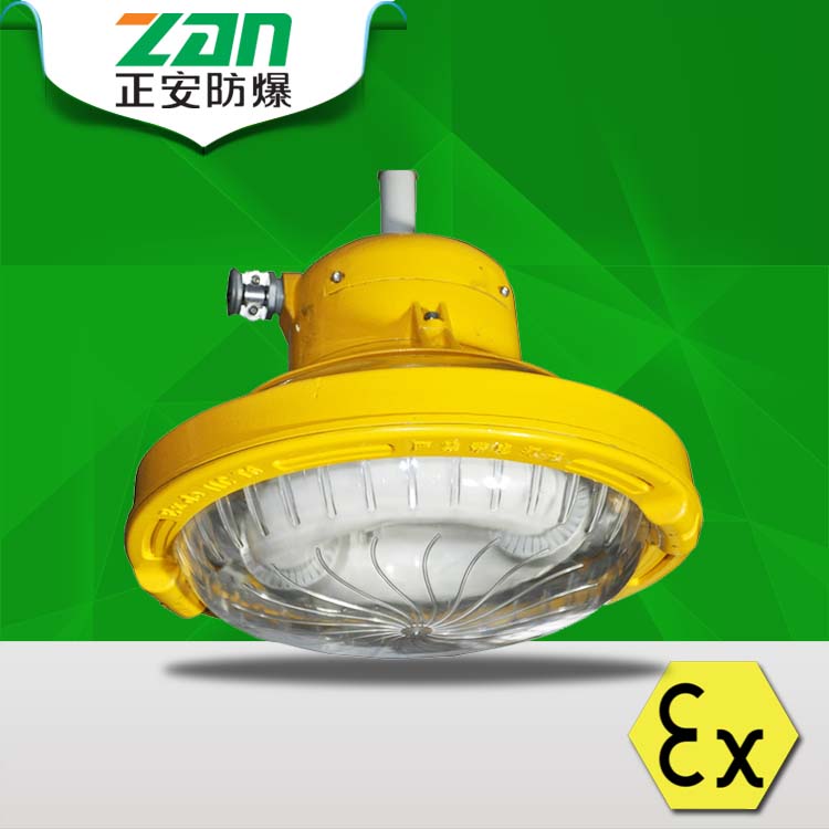 LED防爆應(yīng)急燈 LED防爆應(yīng)急燈