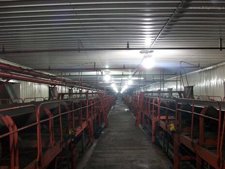 1482287543118259.jpg 14259890492326017.jpg