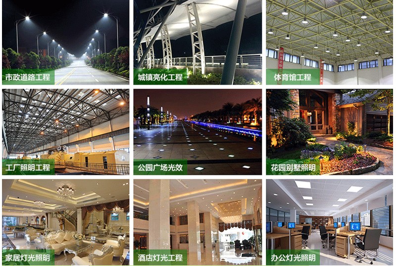 1484360949529850.jpg 15.JPG