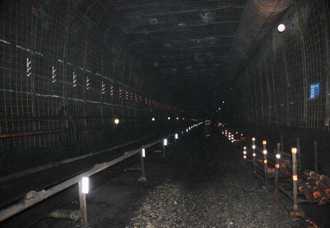 1493865437438192.jpg timg8.jpg